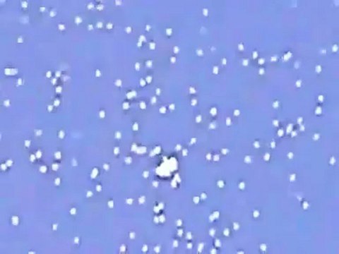 Ufo .orb. Flottille . Espagne. 2012