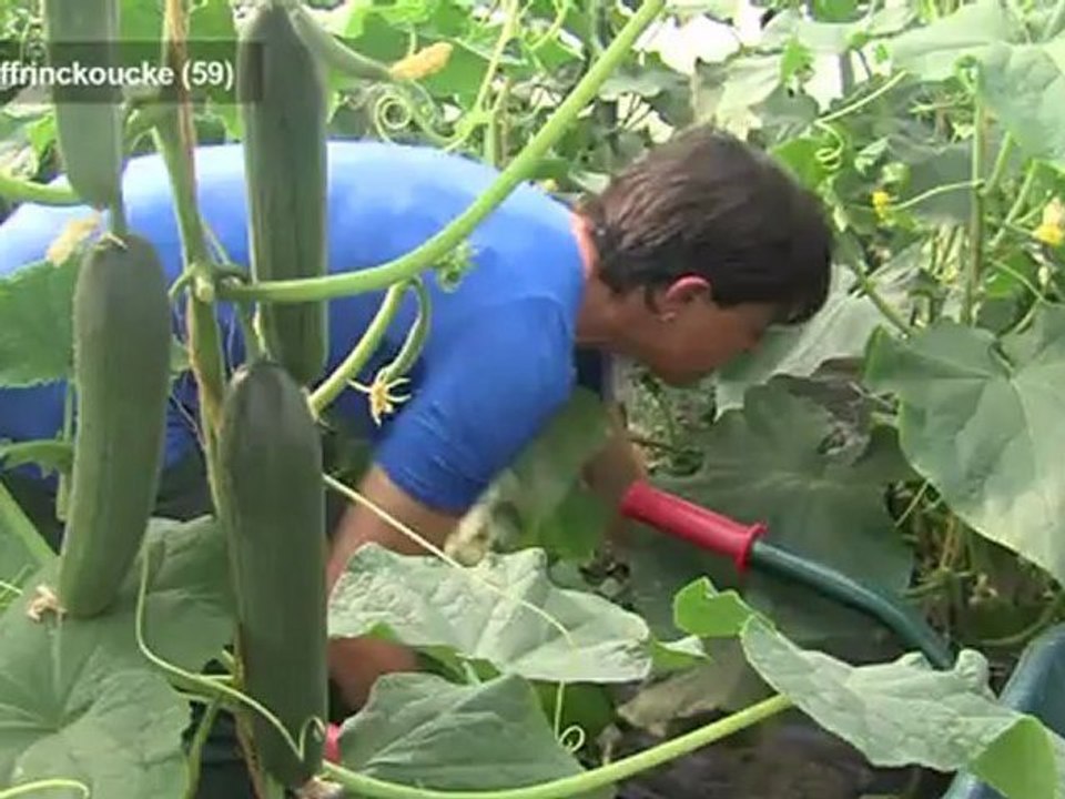 Opal'TV : Le JT - Edition du 5 juillet 2012