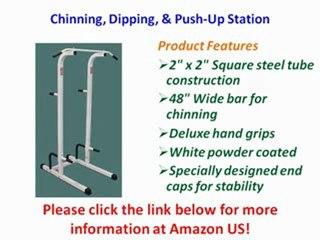 Chinning, Dipping, & Push-Up Station