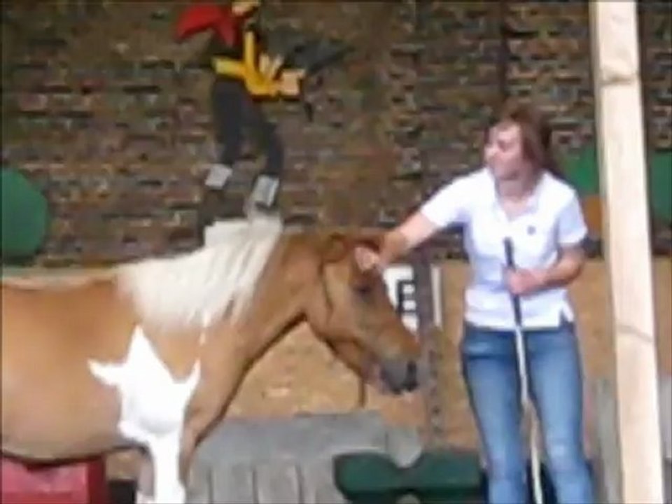 carajuillet2012