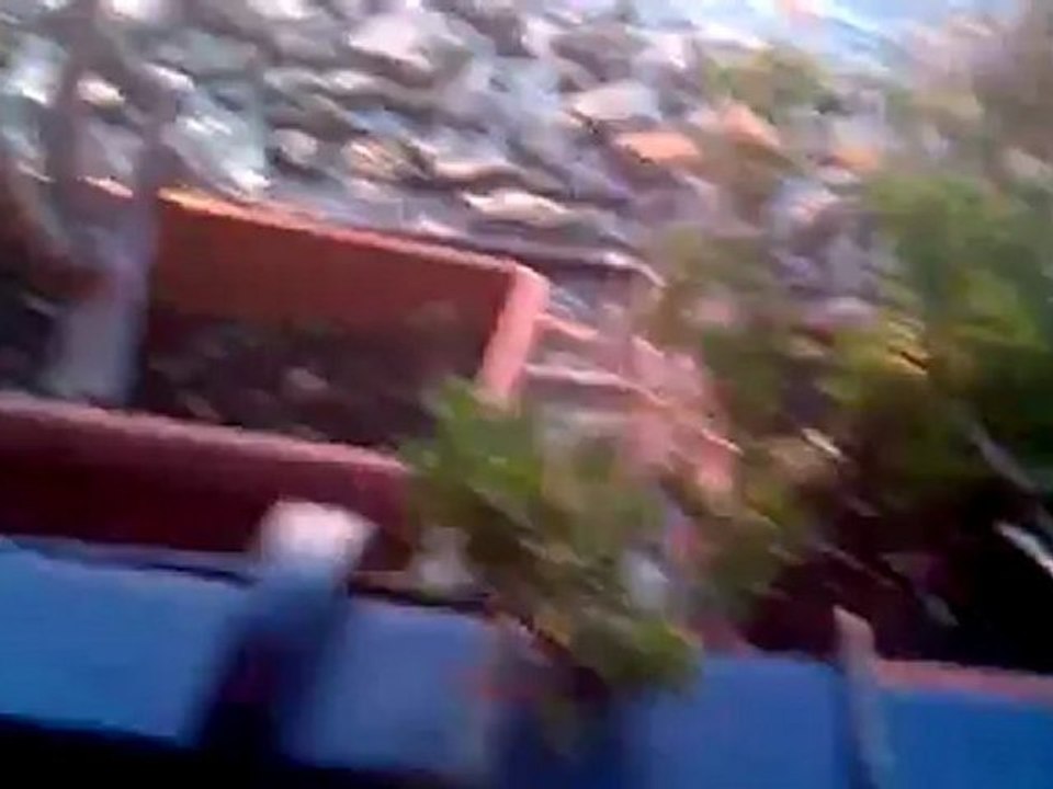 cane fa la cacca sulla spiaggia  di marina grande bacoli