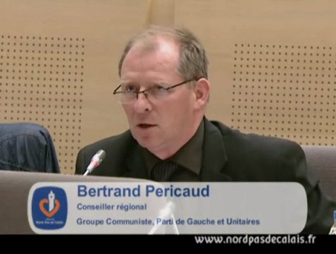 Intervention Bertrand Pericaud motion d'urgence Visteon 04-07-12
