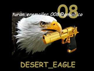 Aynur Güneş      "Erzincana Girdim"