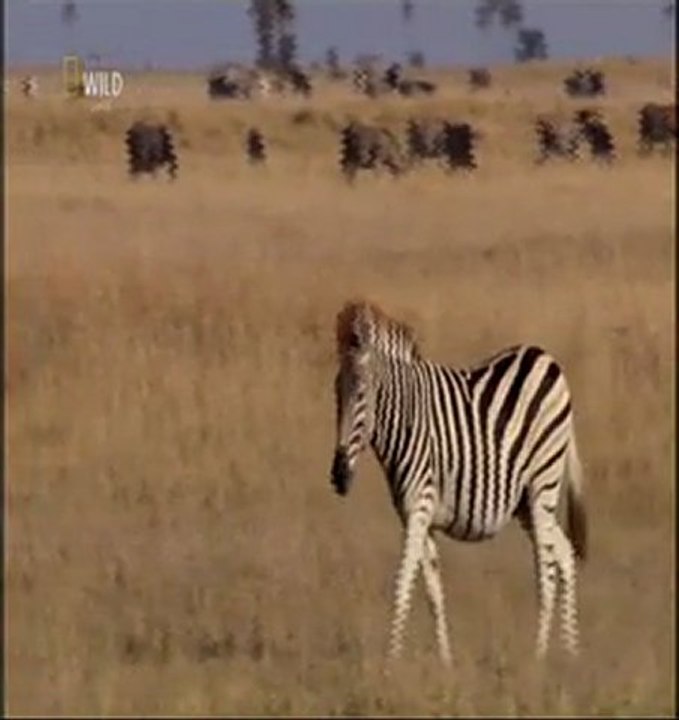 TA MERE,TA MERE ET TA MERE ENSUITE TON PERE