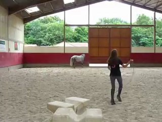 Saut en liberté 01 juillet 2012.