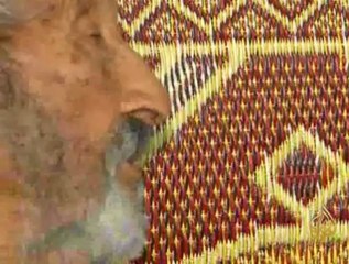 تونس تحكي الإنتهاكات ضد النشطاء السياسيين سابقاً