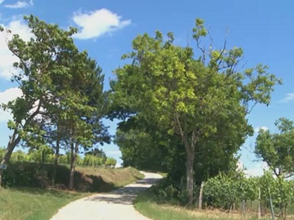 Toyota Prius Plus | 2013 - HD - Español