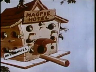 10.Svrake koje govore