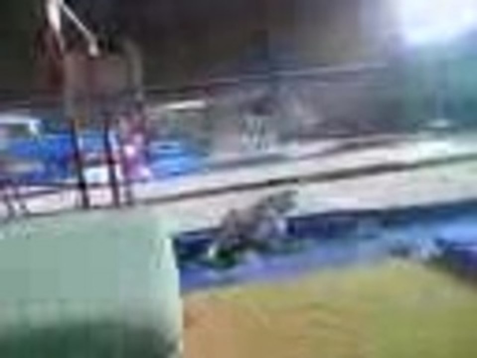 chute gymnastique barre fixe