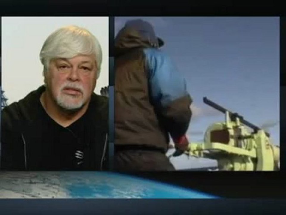Sea Shepherd condemns whaling plans - ABC News (Australian Broadcasting Corporation)