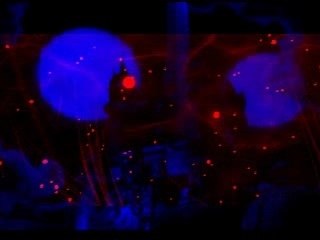 Linkin Park Pushing Me Away