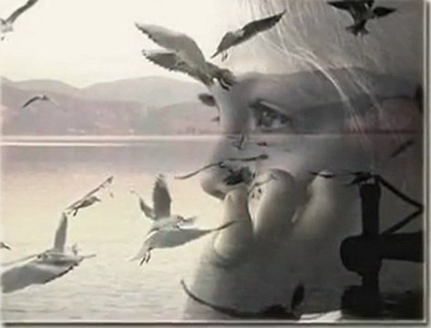 **ANMA ARKADAŞ** Sen de Yanma Arkadaş...((((