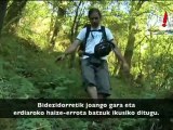 Palas de rey, Ulloa (Galizia) bizikletaz. Gaztelu, baso eta ibai artean egindako ibilbidea