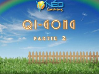 Coaching en ligne - Qi-Gong- Cédric Laurière - partie 2