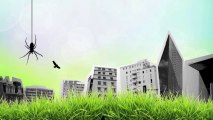 Sauvages en ville : une étonnante biodiversité urbaine sauvage