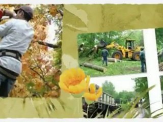 Hanson Tree Service (563) 219-4052