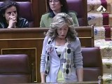 El PP recuerda a González Sinde que es la ministra más criticada