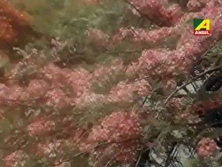 Amit Kumar & Arati Mukherjee - Dure Keno Eso Sore- Aparupa