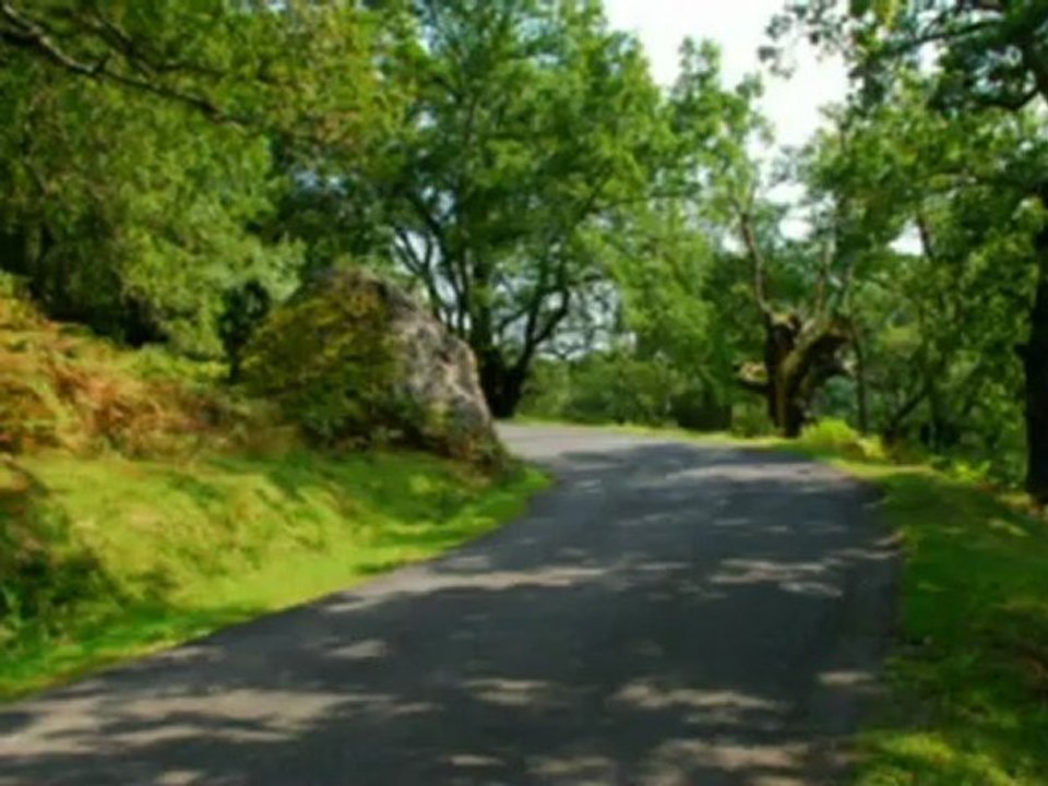 LA VISITE DES  PYRENEES