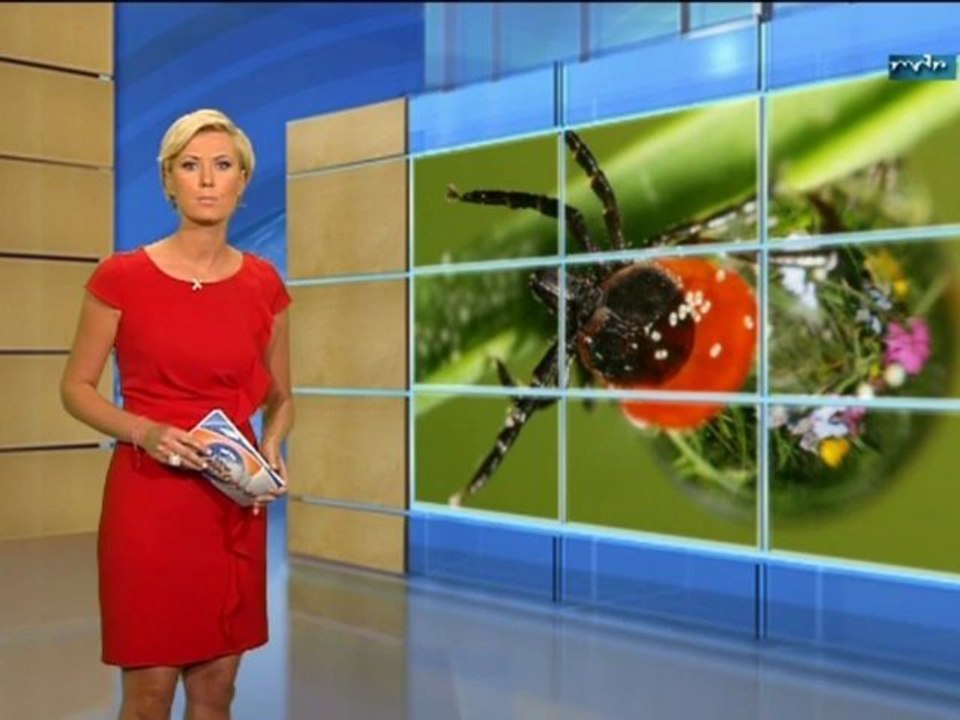 Kamilla Senjo  06.07.2012