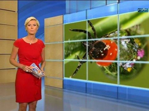 Kamilla Senjo 06.07.2012