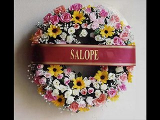 Bruno Thiévet : Salopes & Couillonss