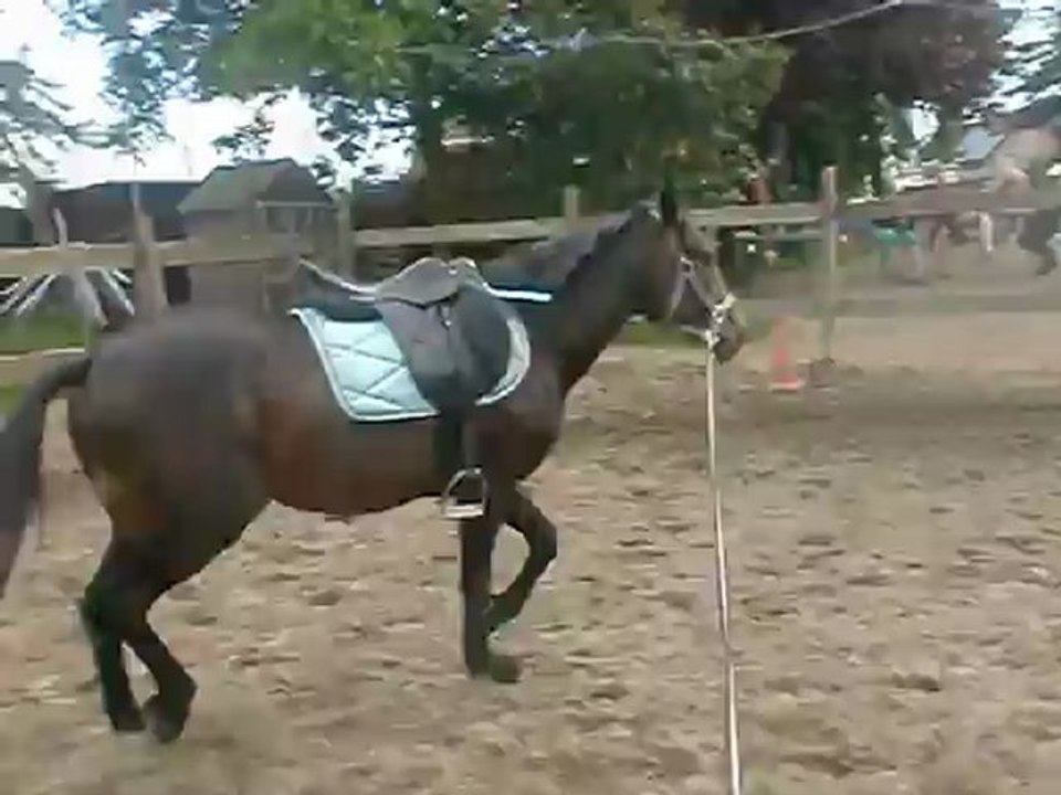 CIMG4757
