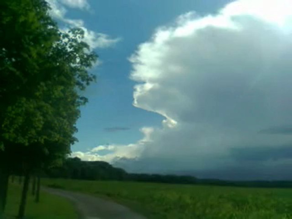 Cellule du 06/07/2012/