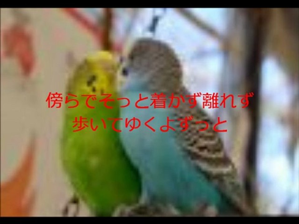 そばにいるから