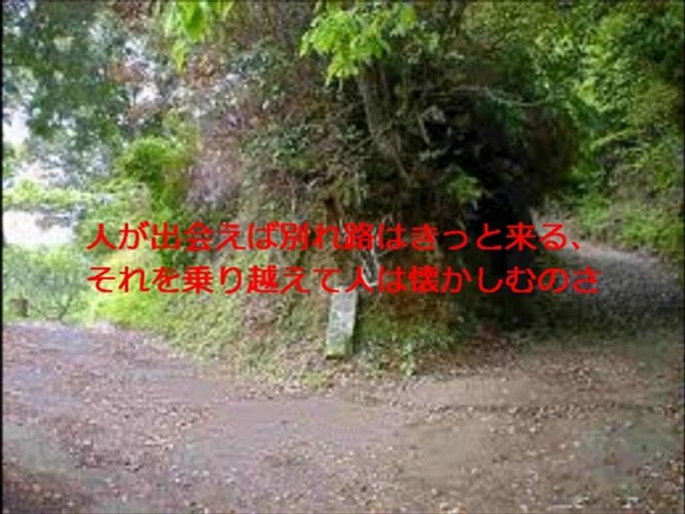 わかれ道