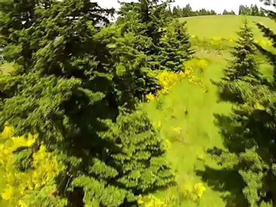 Horse Property in Newberg / Oregon land for sale and real estate