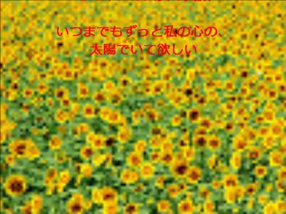 向日葵