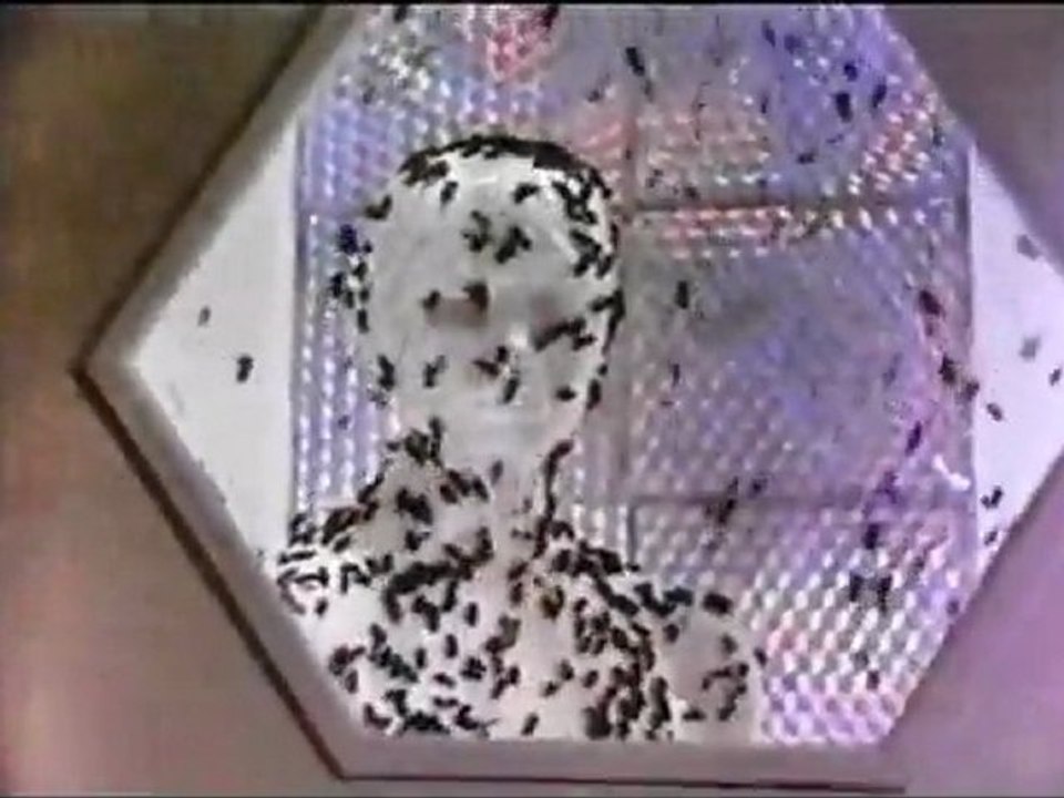 INVASION OF THE BEE GIRLS