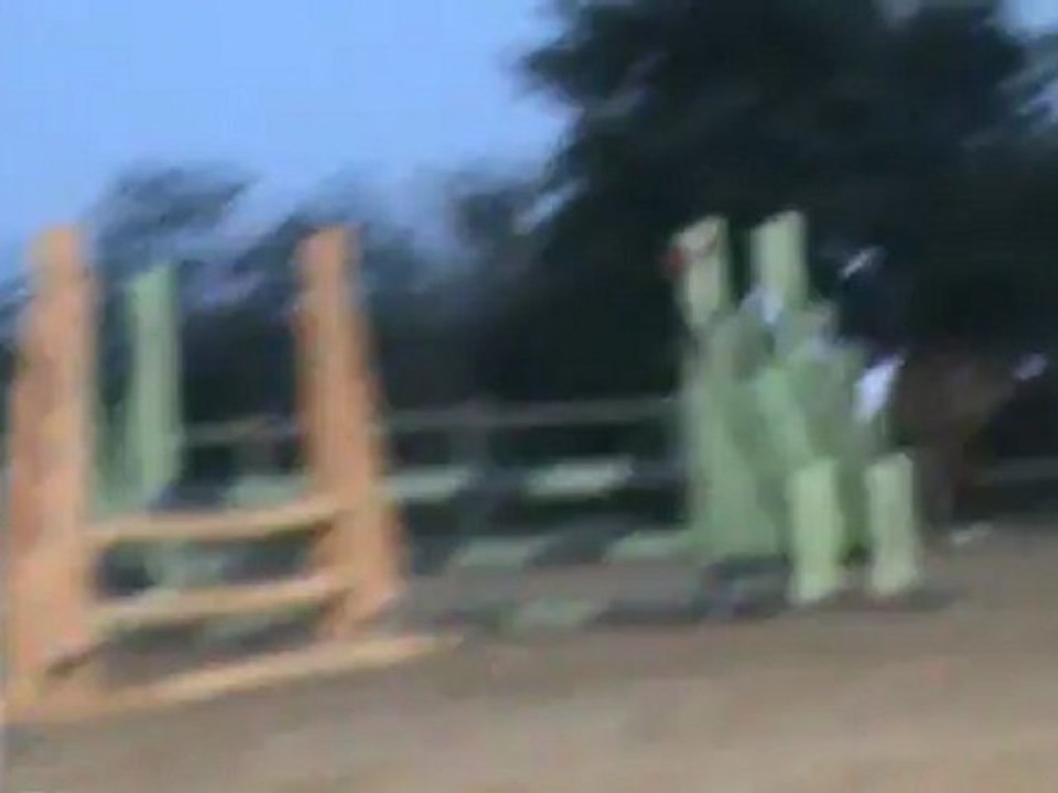 vidéo nocturne deguisé 2012