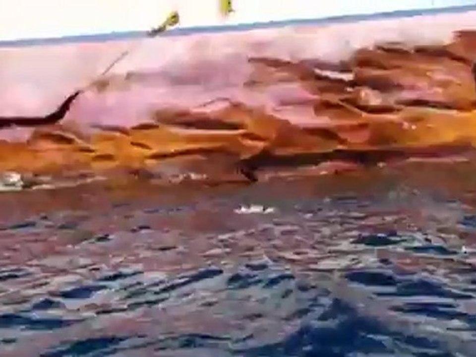Costa concordia: shipwreck tourism | journal reporters
