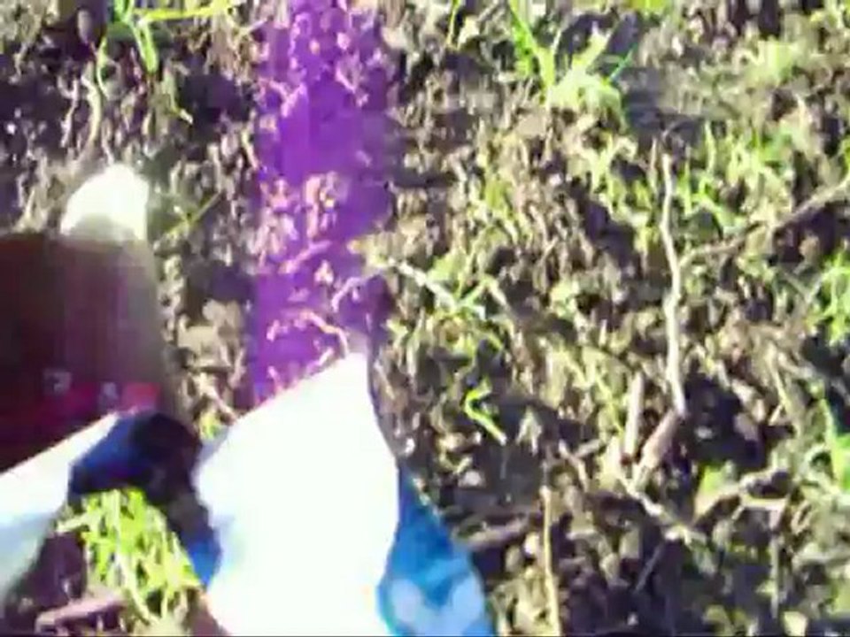 Explosion d'une cannette avec un gros pétard