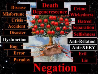 TOTAL Universe, the New Paradigm, Truth 4: The Negation