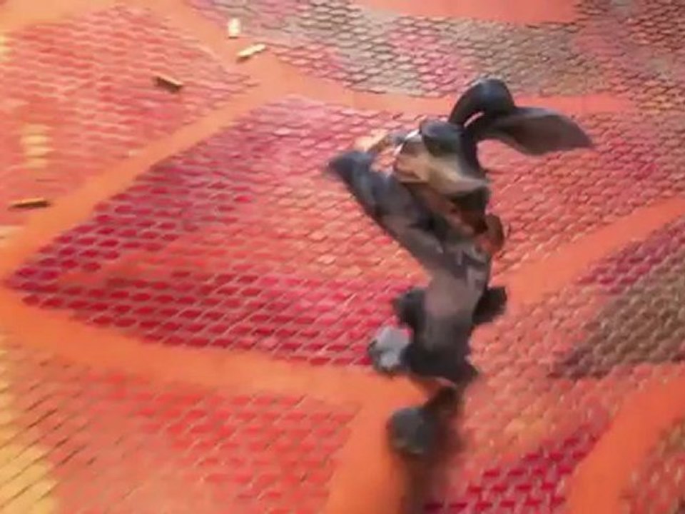 Rise of the Guardians - Trailer 2 (Englisch)