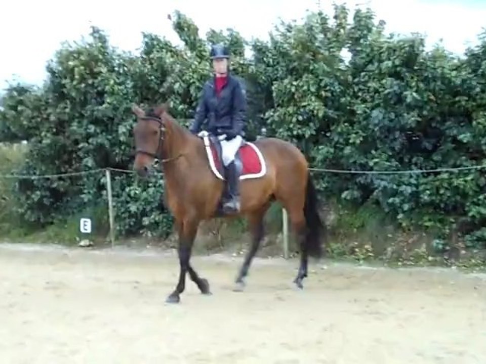 A et B 10