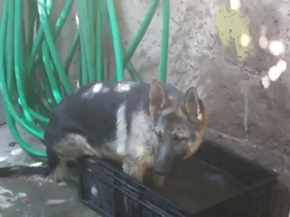 IMAG0007
