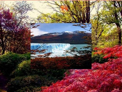 Paysages de Patagonie et Argentine f
