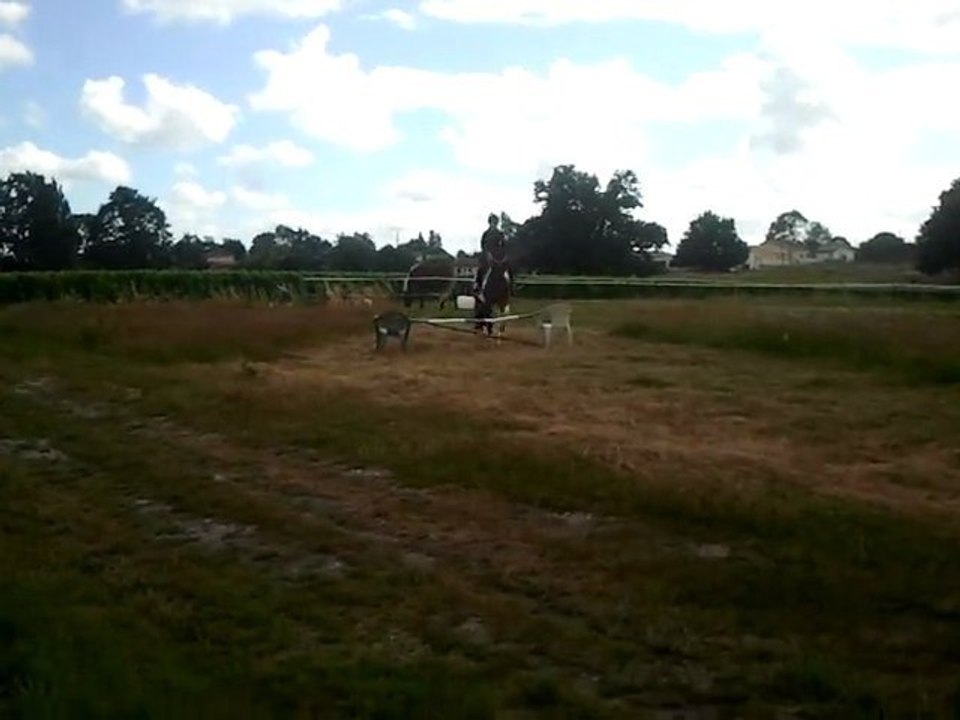 Qualie et moi. Notre premier «parcour» Le 6-7-2012