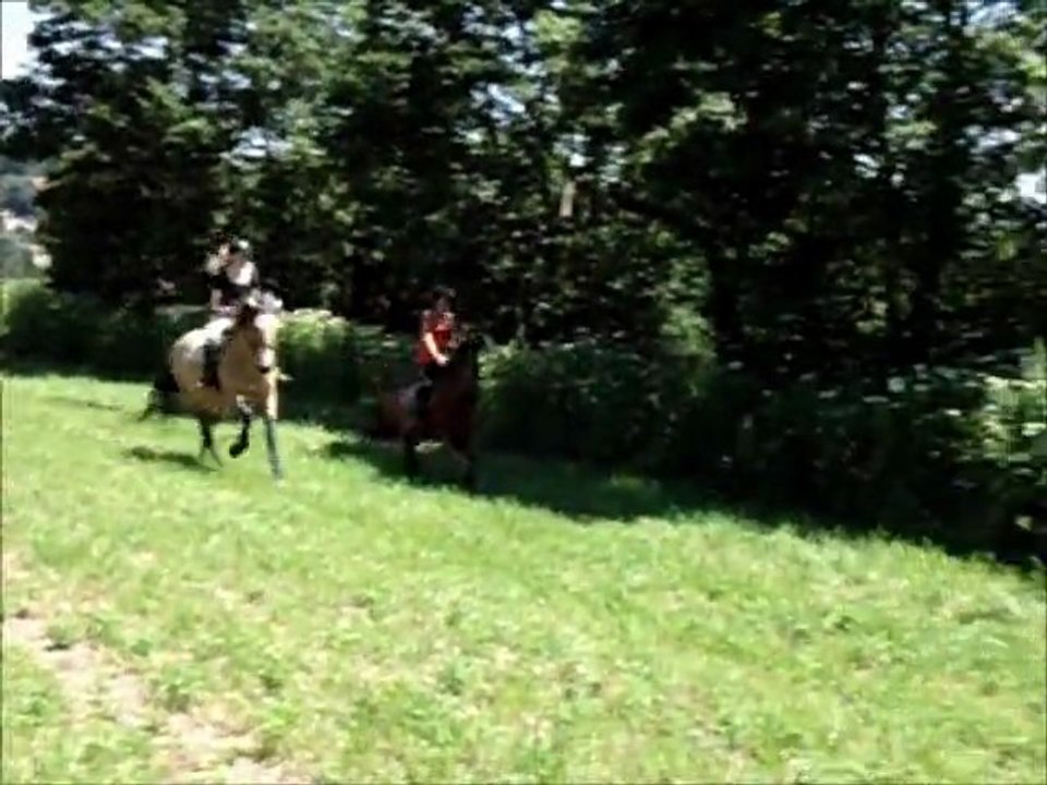 Petit galop pré