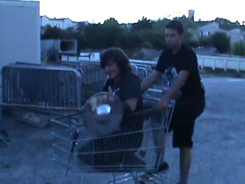 Les chevaux se préparent