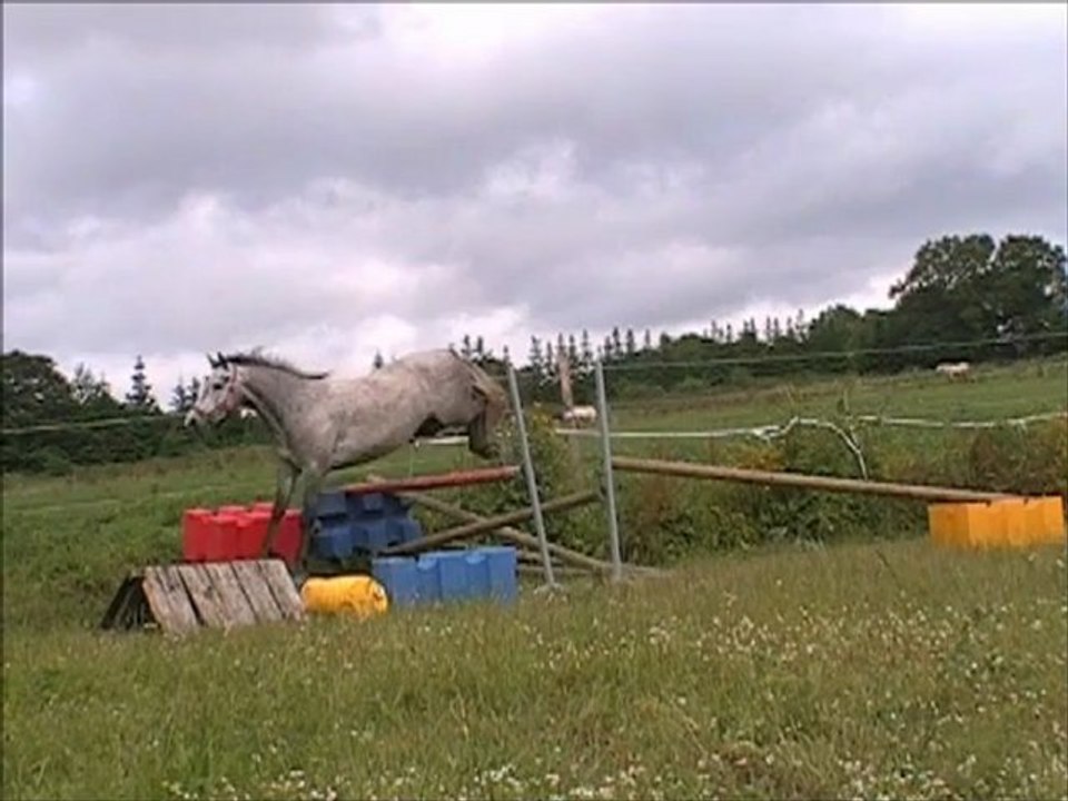 Tagagné Tartifume femelle CO par Ever Oak et Violine II 1er testage