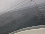 Baleines à Puerto Lopez