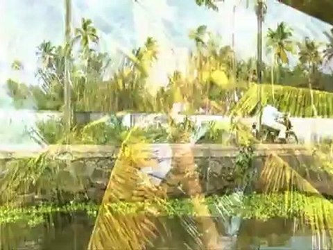 The beautiful Kerala backwaters Video