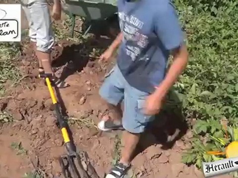 BESSAN - 2012 - Cueillette de Caillan : Venez cueillir vos produits de saison sur le champs !