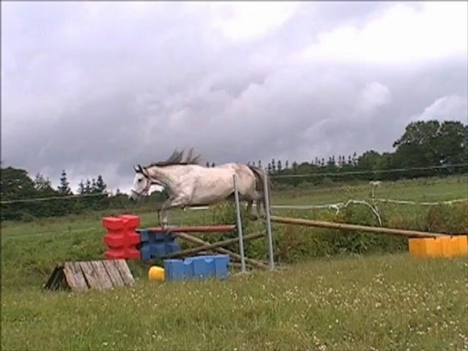 Thumbup Tartifume femelle OC 1m47 par Lecherry Tartifume 1er testage