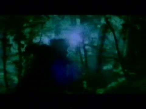 wolf and raven sonata artica